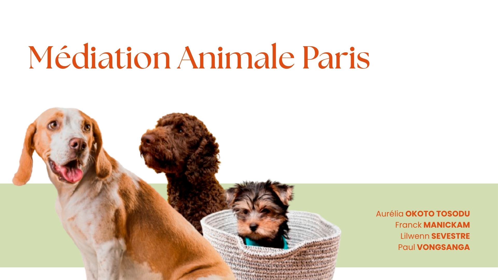 Médiation Animale Paris – Recommandation